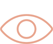 vision